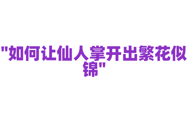 "如何让仙人掌开出繁花似锦"